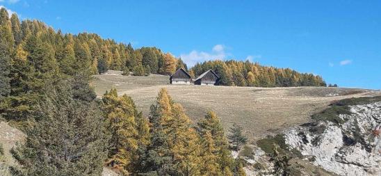 Le queyron chalets